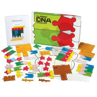 Puzzle ADN/ARN