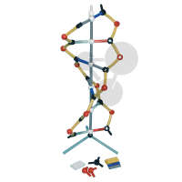 Petit modèle d'ADN