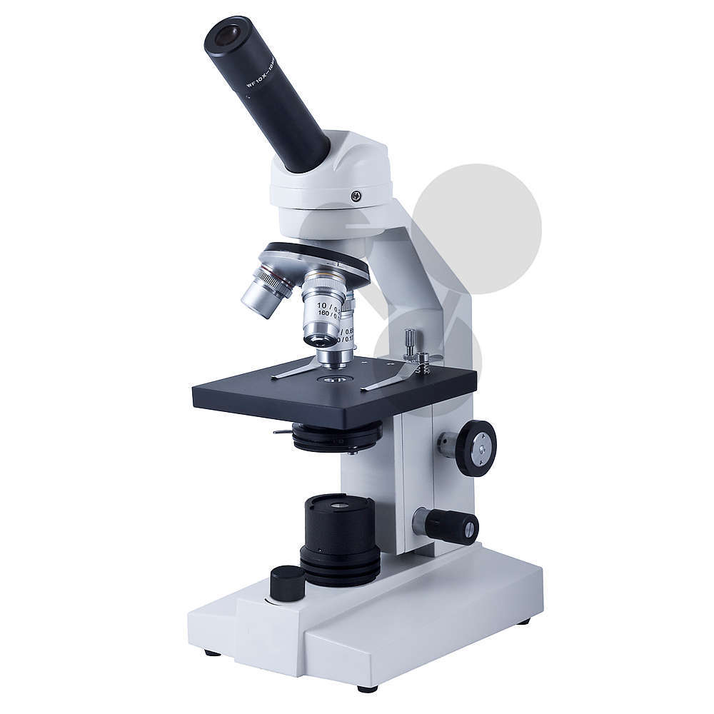 Microscope Motic SFC 100FLED 400 sans fil
