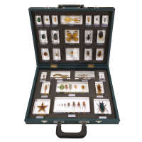 Coffret 27 invertébrés Premium