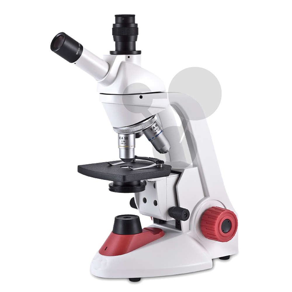 Activité 4 - Apprendre à utiliser un microscope optique. - SVT - collège  Condorcet