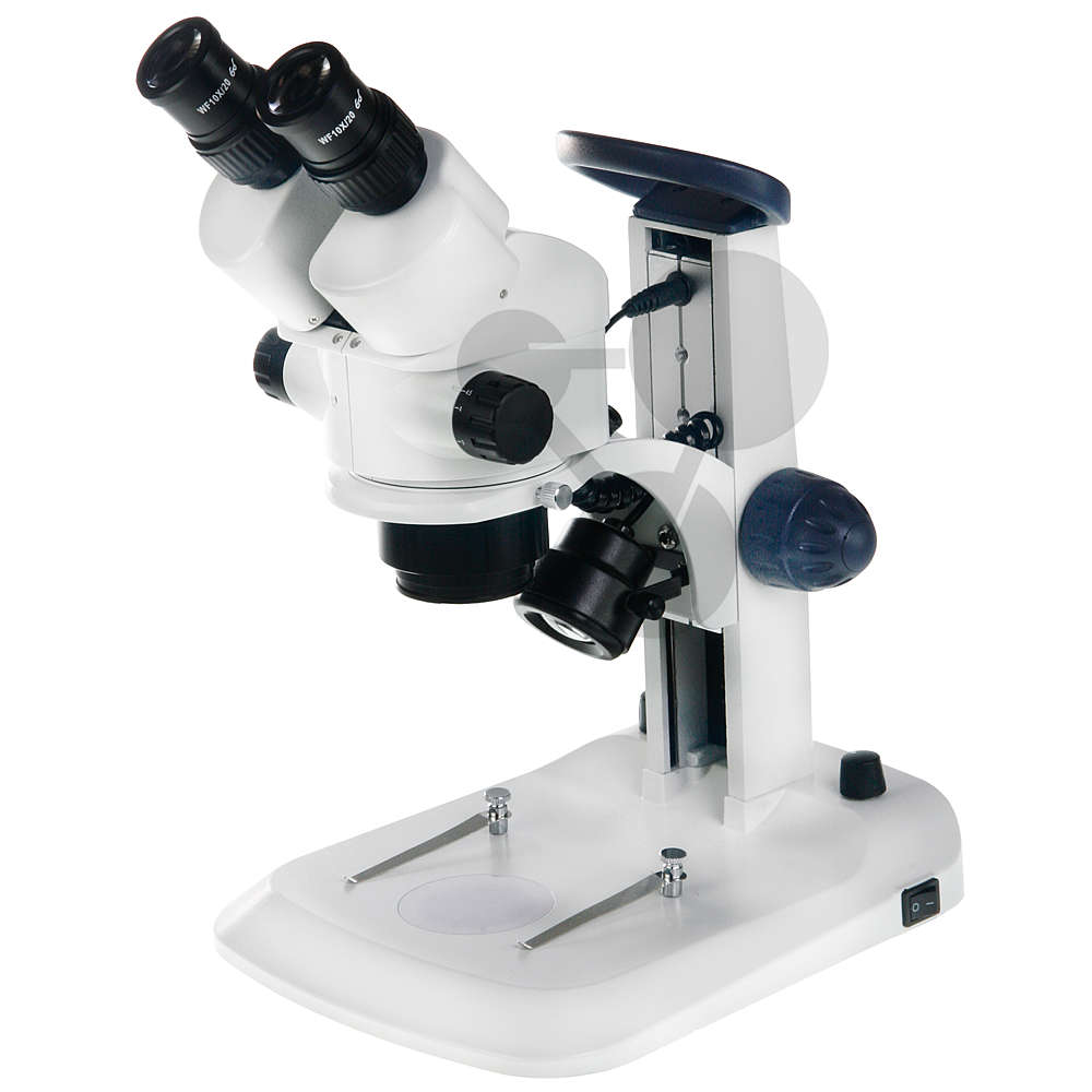 Observation à l'aide d'une loupe binoculaire de deux lasers monolithiques -  FIRST-TF