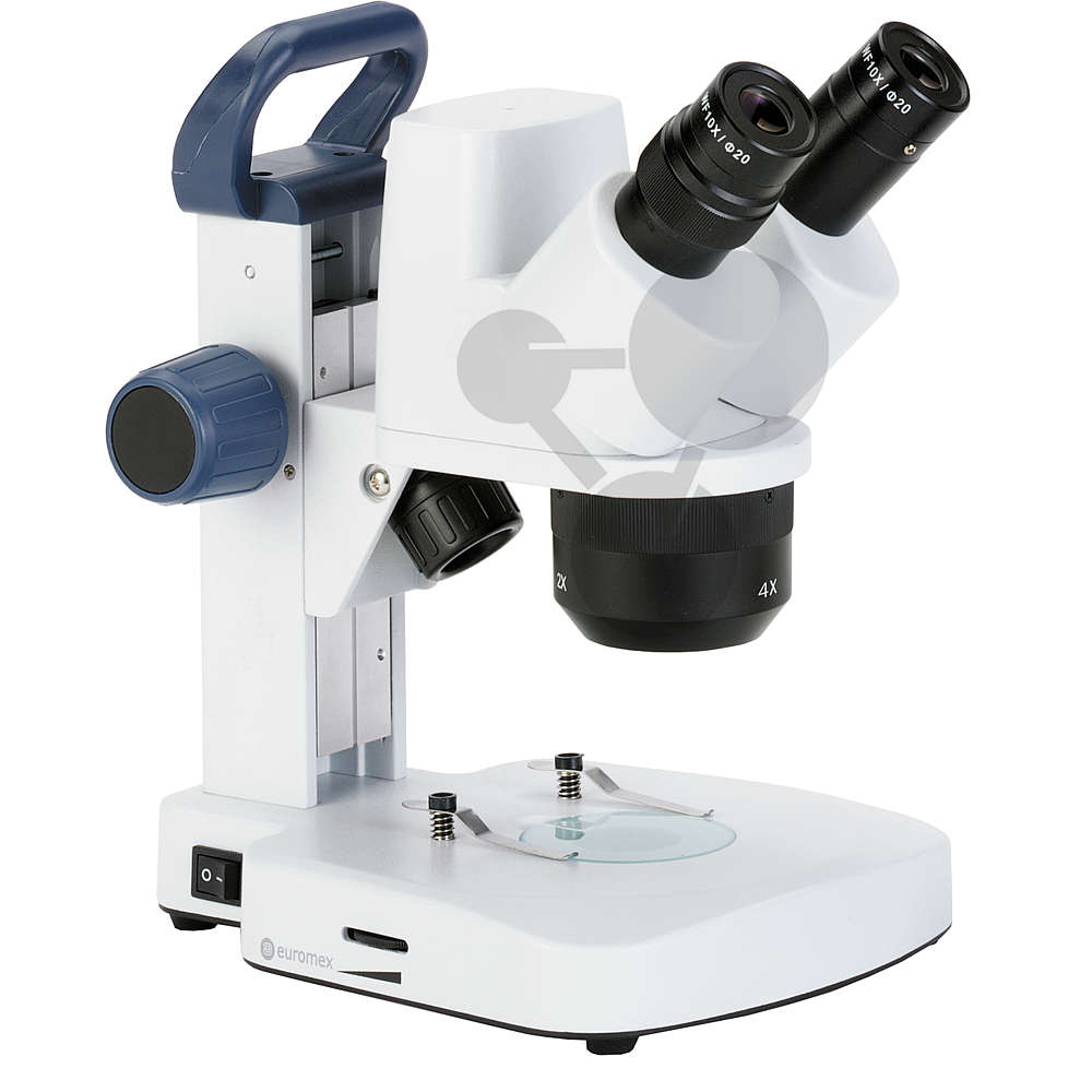 Loupe binoculaire observation d'insectes - Achat/Vente